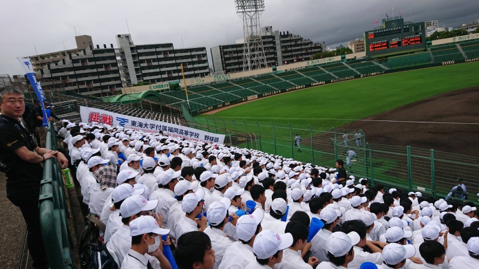 野球2019夏